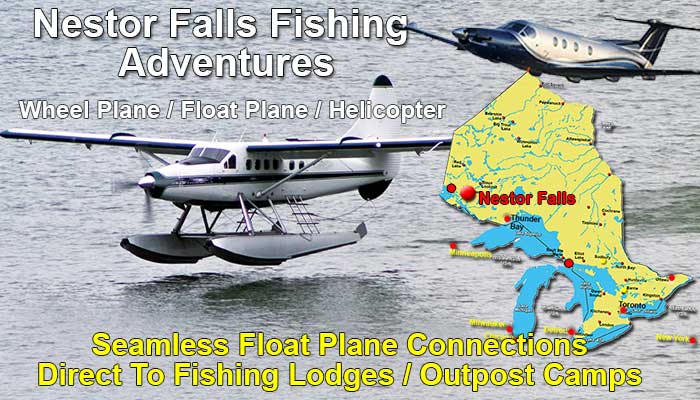 Nestor Falls fishing Trips
